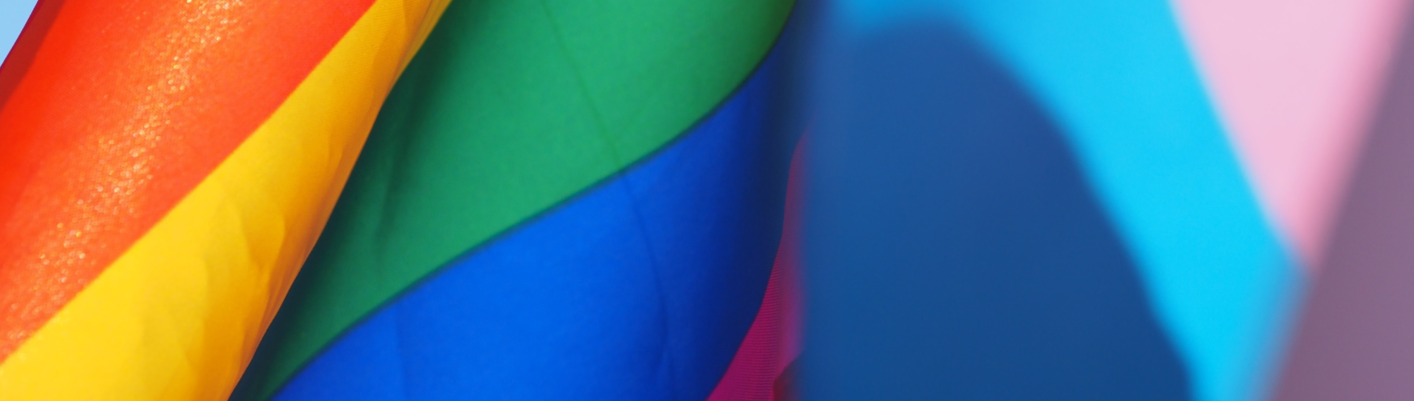 LGBT+ pride flags